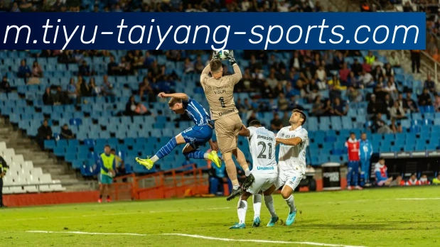 App Interface Preview