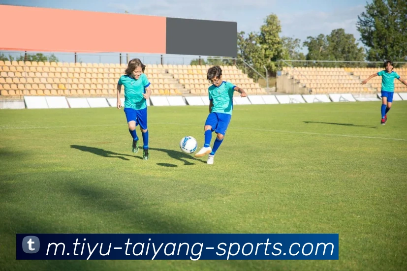 太阳城APP 封面图